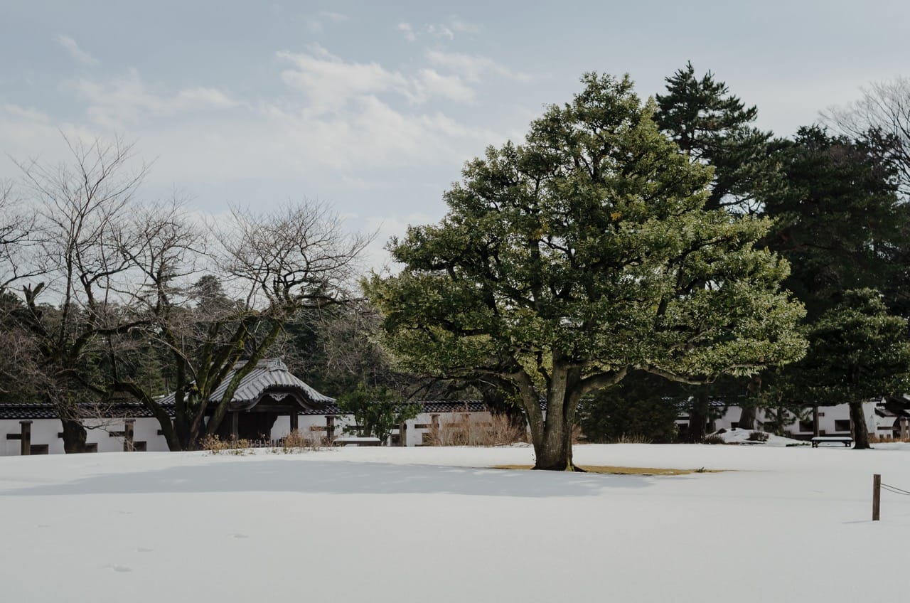 Фото 65 из альбома Kanazawa 2024