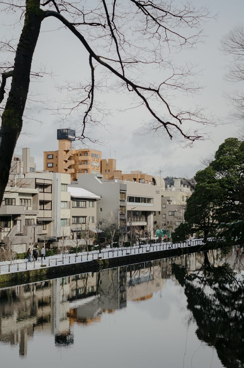 Фото 77 из альбома Kanazawa 2024