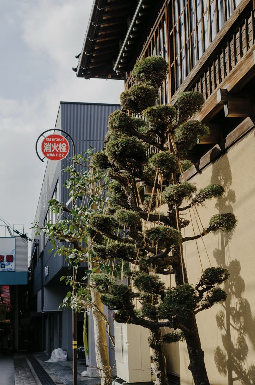 Фото 88 из альбома Kanazawa 2024