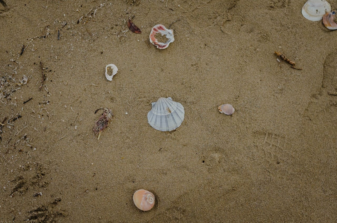 Фото 98 из альбома Kanazawa 2024