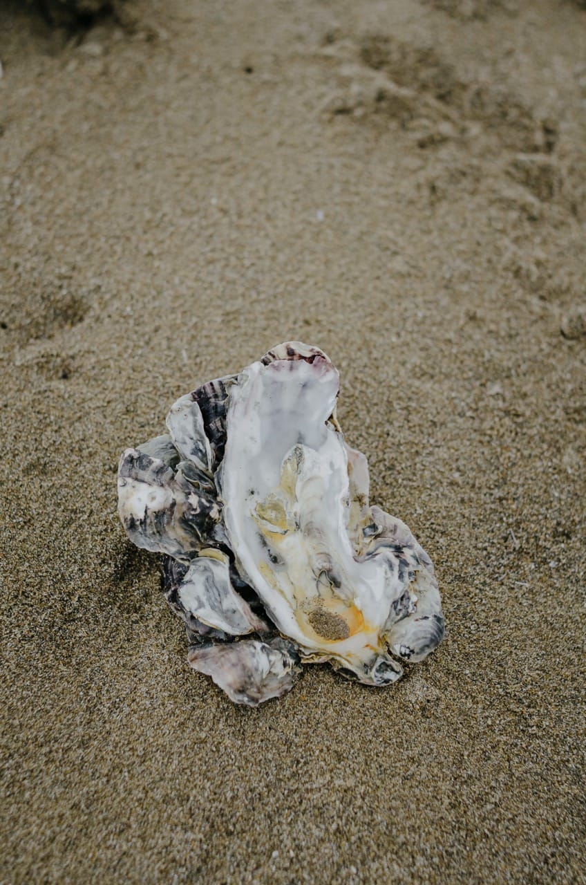 Фото 102 из альбома Kanazawa 2024