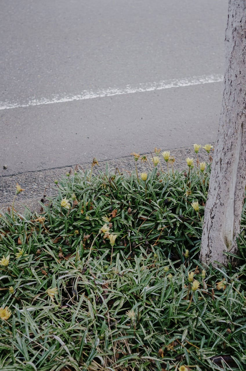 Фото 111 из альбома Kanazawa 2024