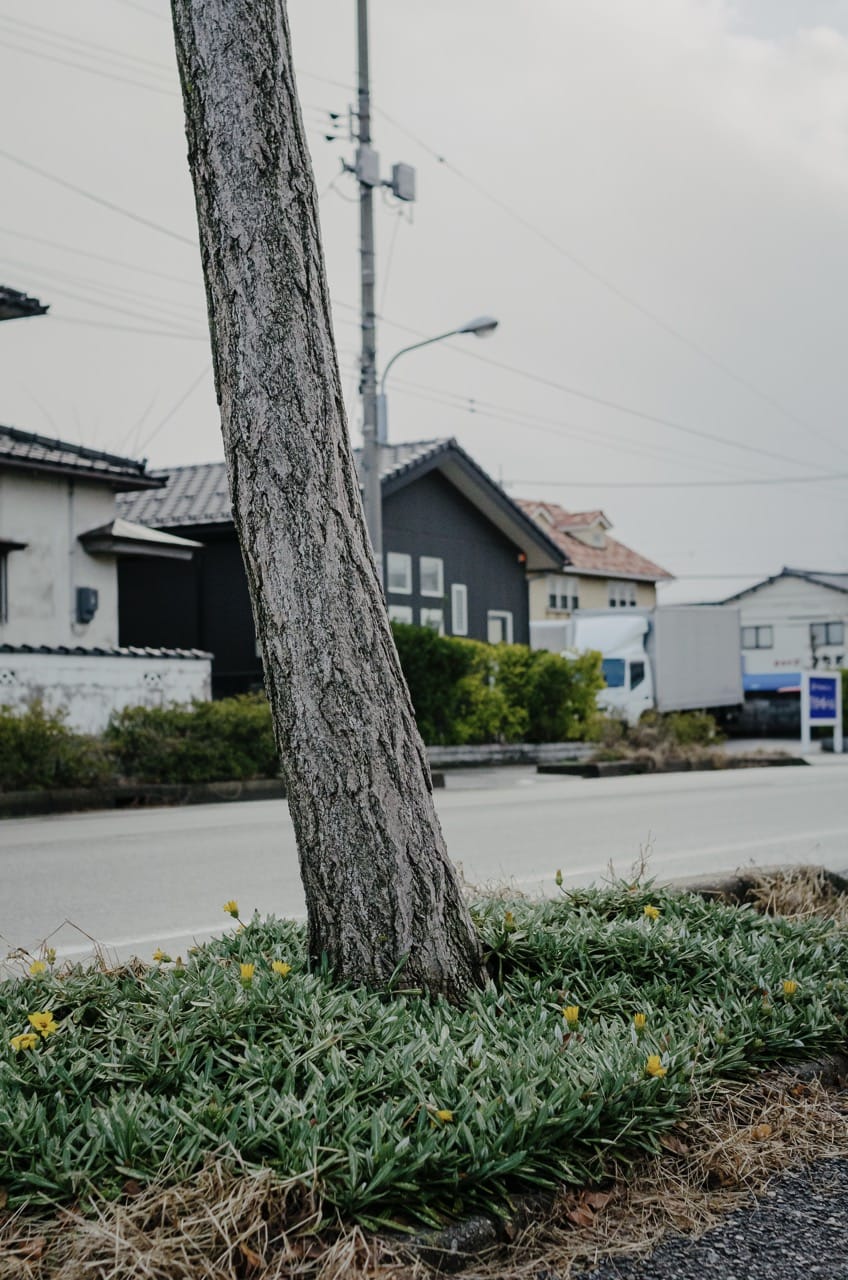 Фото 112 из альбома Kanazawa 2024