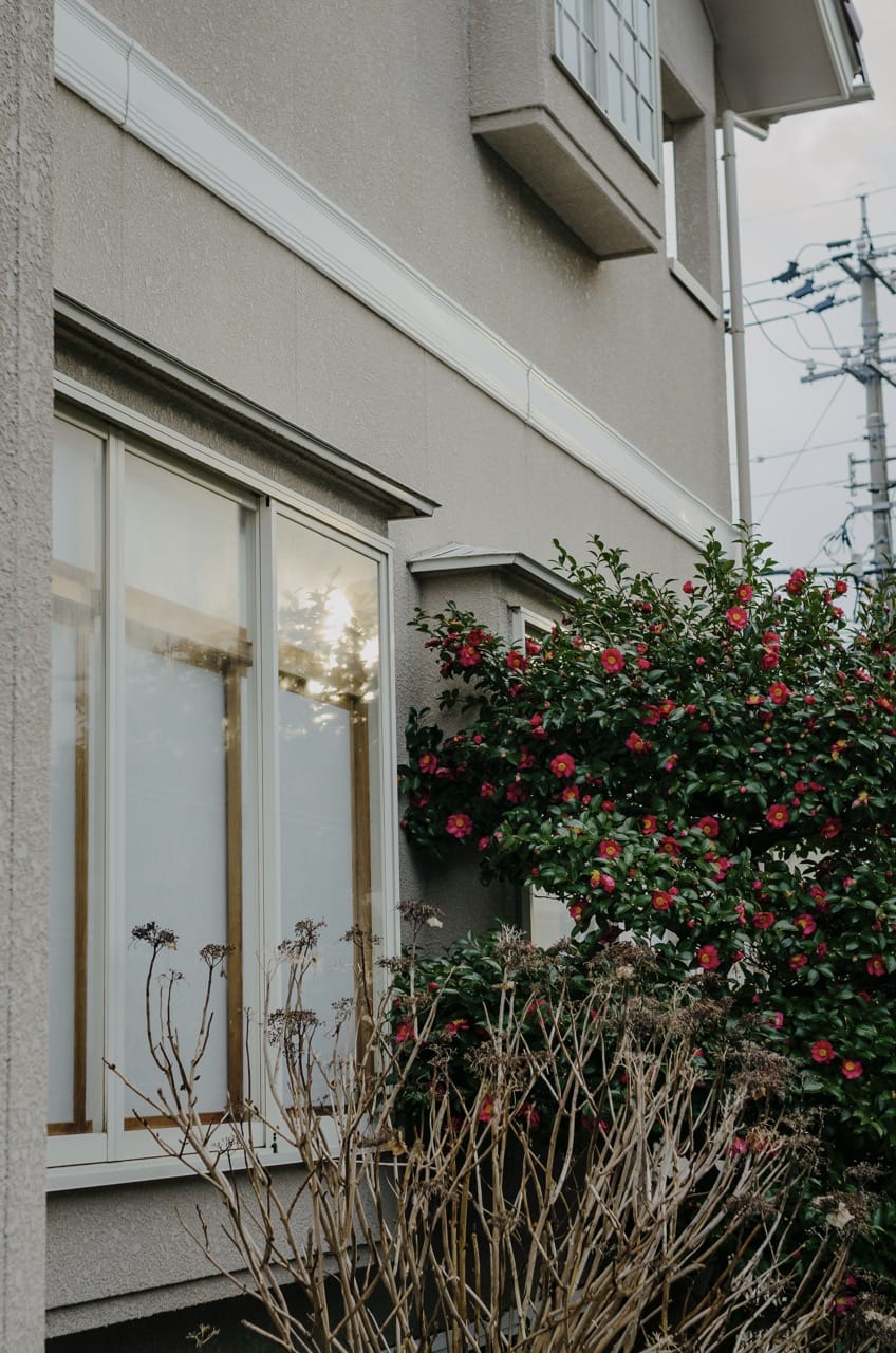 Фото 114 из альбома Kanazawa 2024