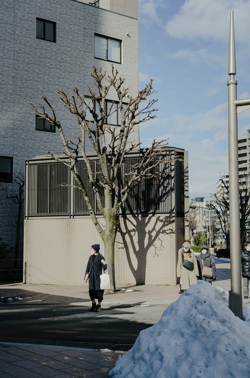 Фото 126 из альбома Kanazawa 2024