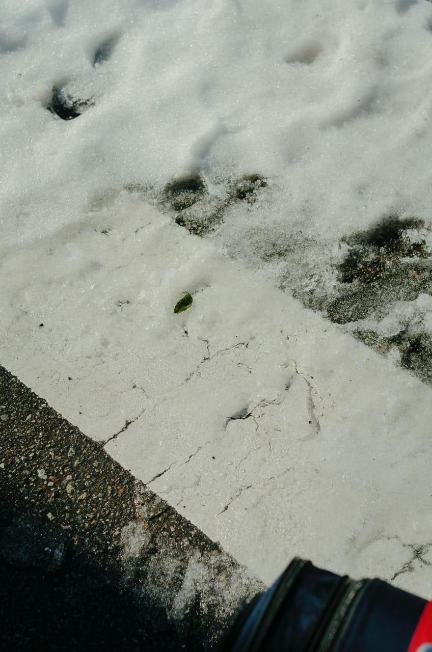 Фото 131 из альбома Kanazawa 2024