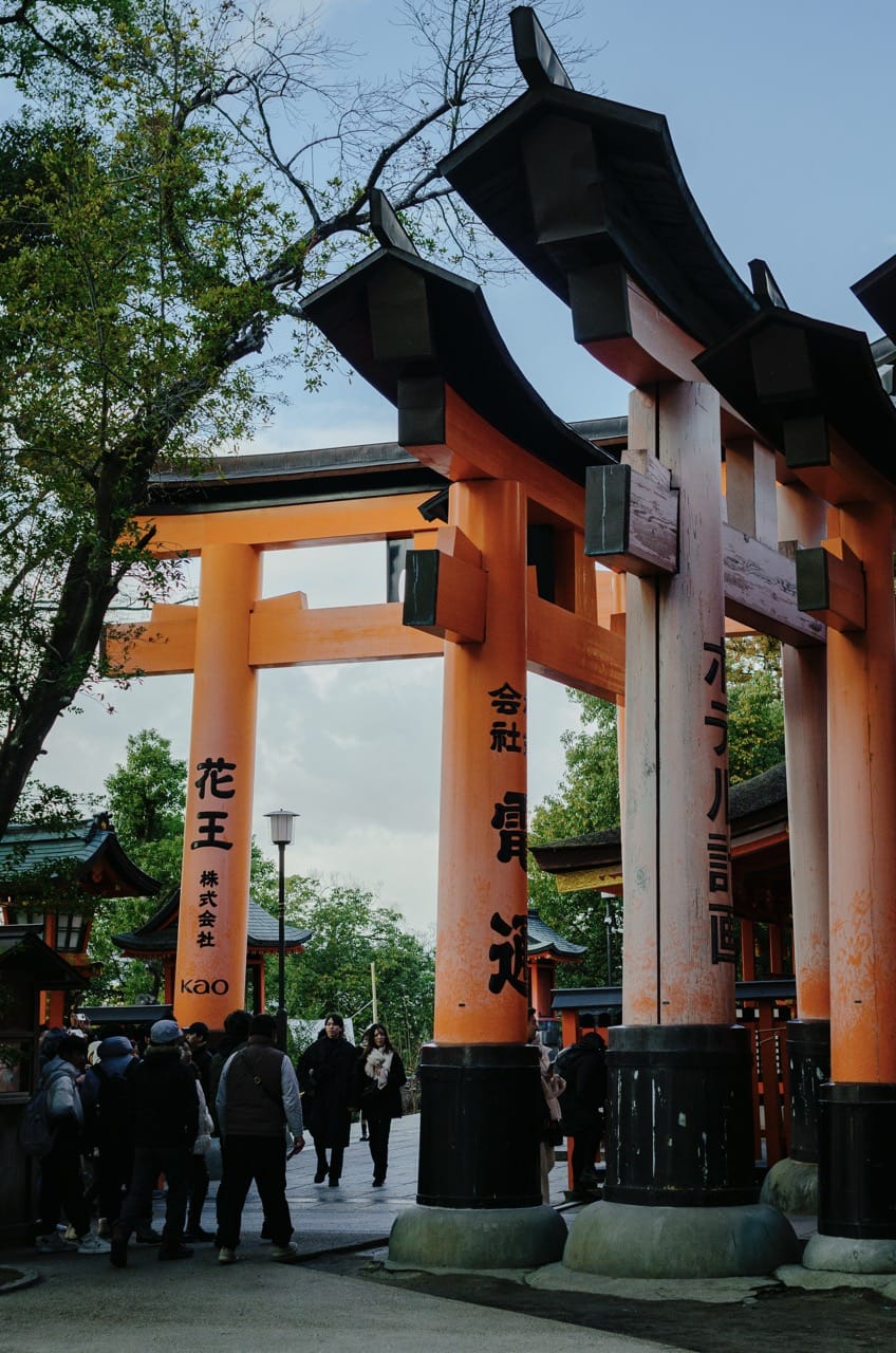 Фото 25 из альбома Kyoto 2024