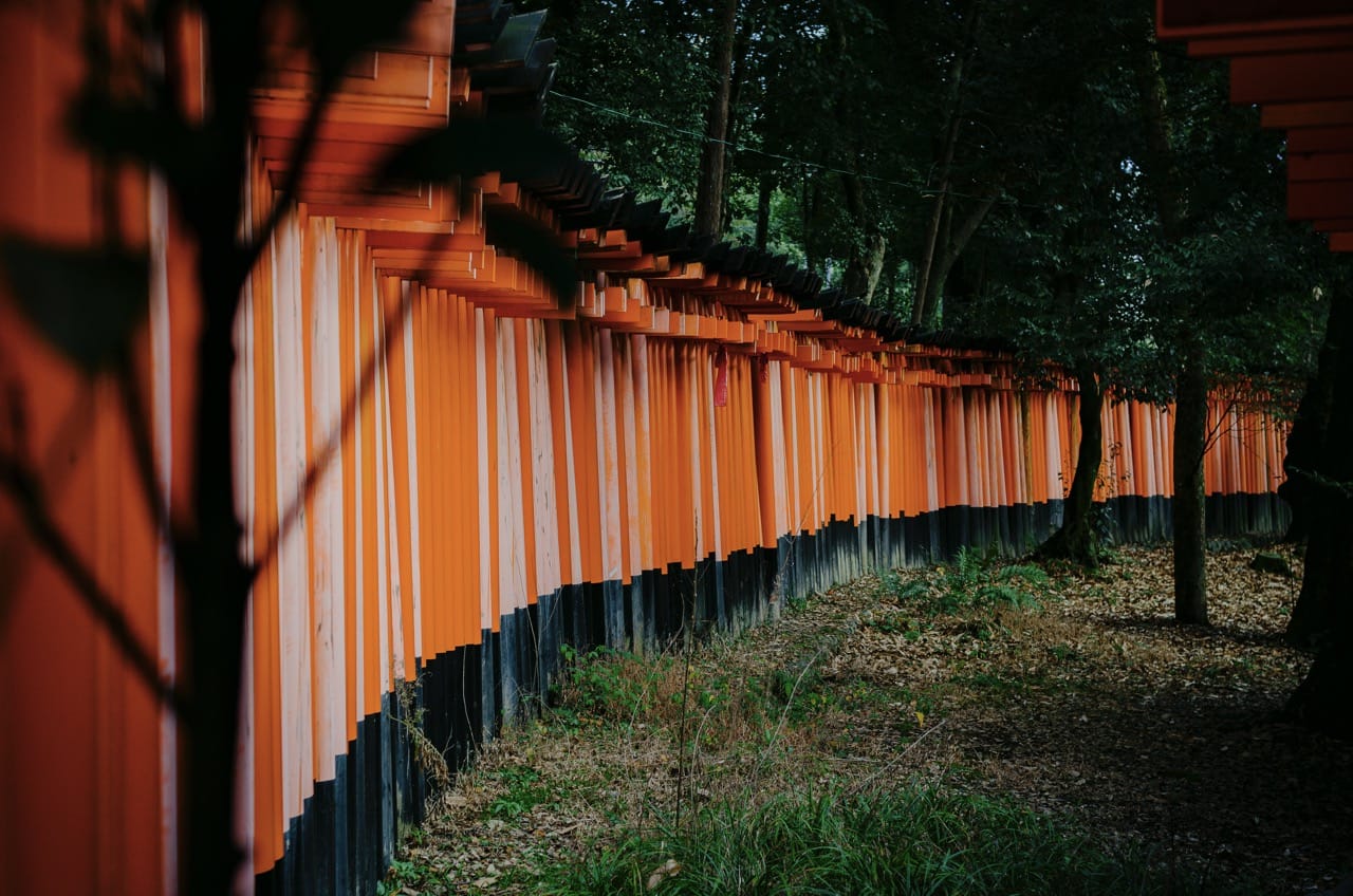 Фото 26 из альбома Kyoto 2024