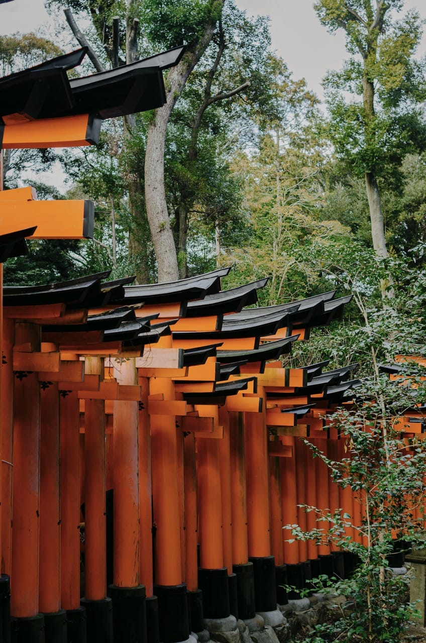 Фото 27 из альбома Kyoto 2024