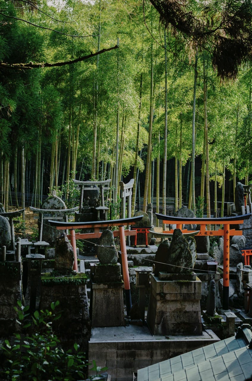 Фото 30 из альбома Kyoto 2024