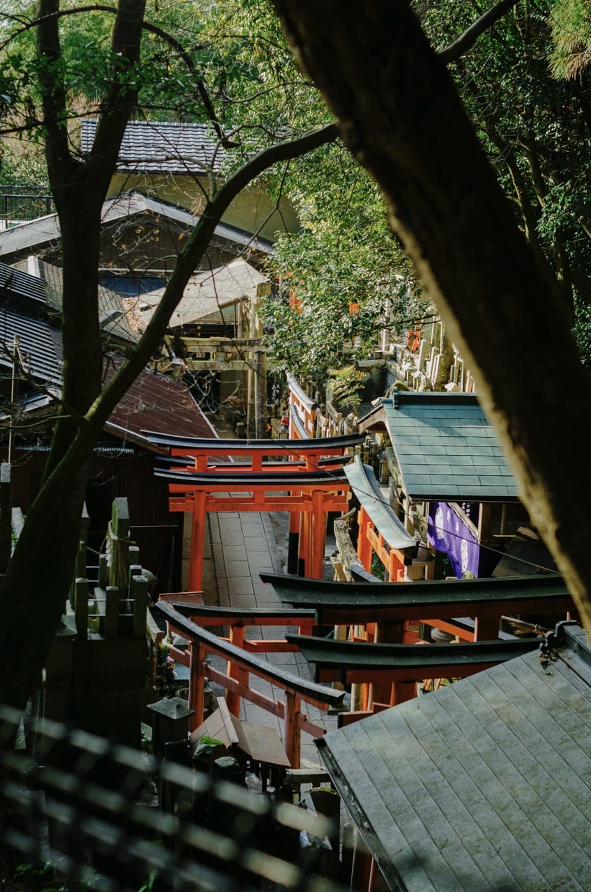 Фото 32 из альбома Kyoto 2024