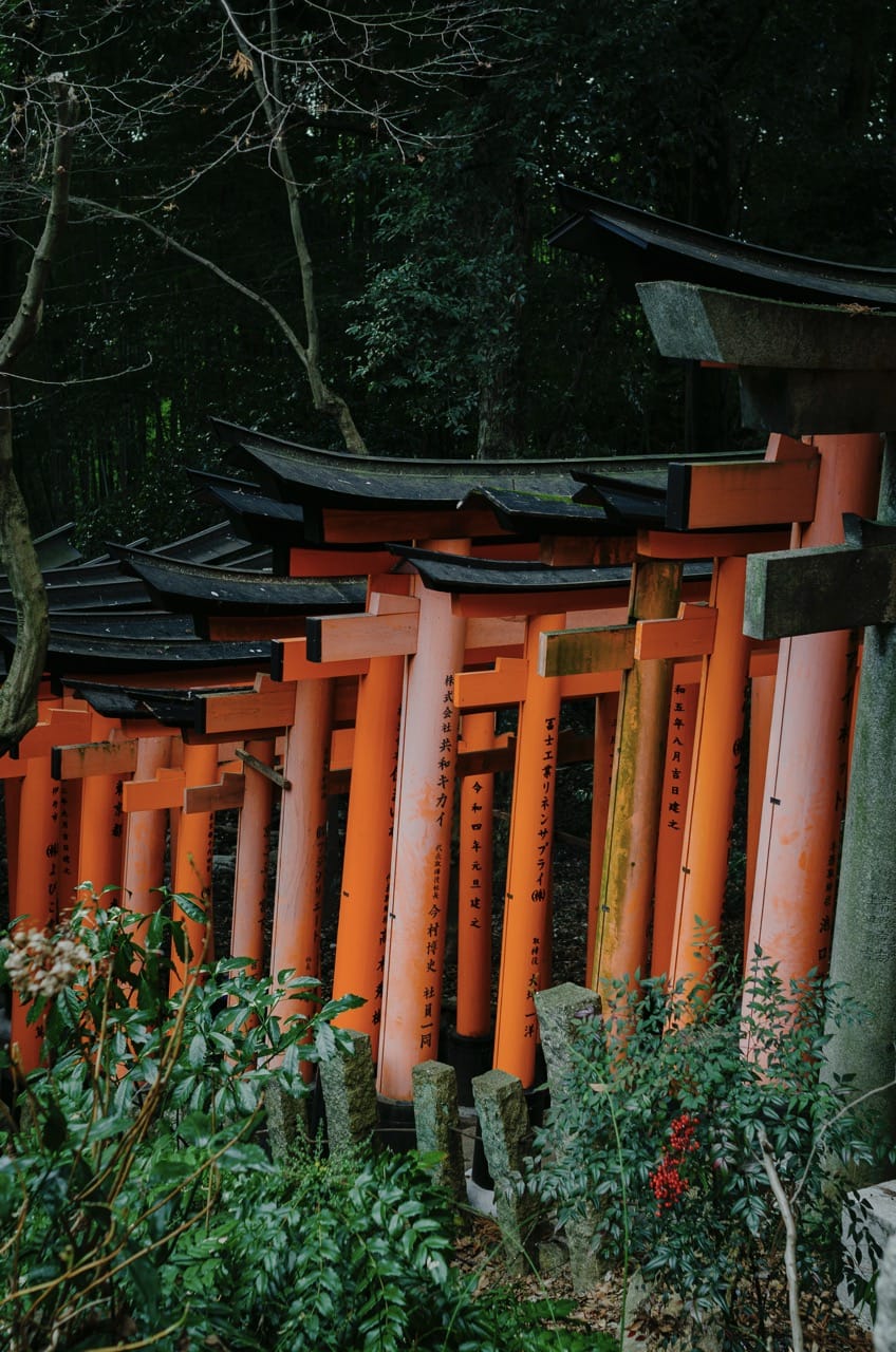 Фото 34 из альбома Kyoto 2024