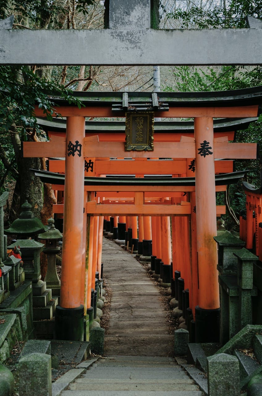 Фото 40 из альбома Kyoto 2024