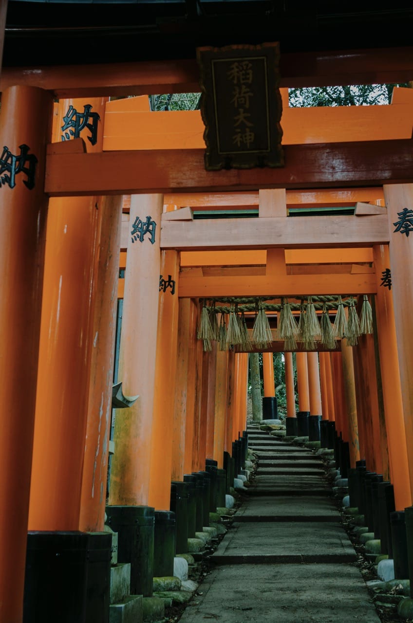 Фото 41 из альбома Kyoto 2024