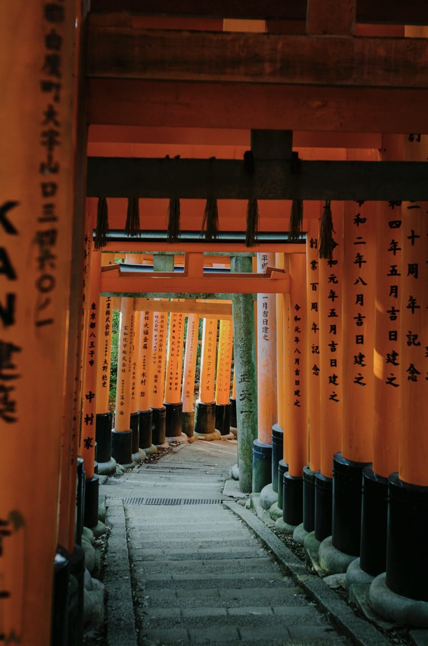 Фото 42 из альбома Kyoto 2024