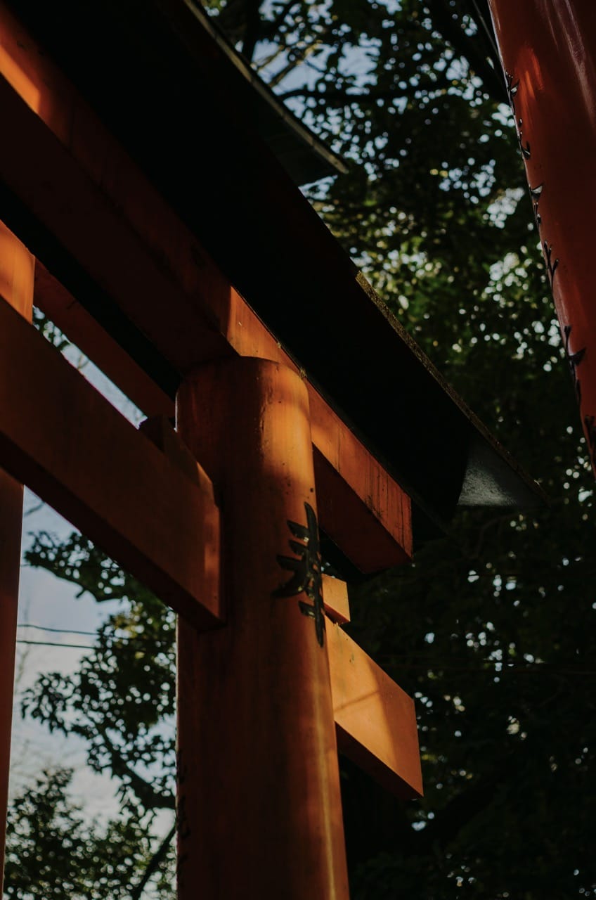 Фото 43 из альбома Kyoto 2024