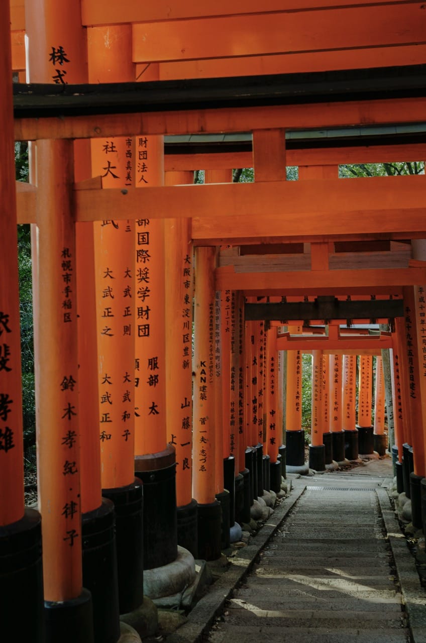 Фото 44 из альбома Kyoto 2024