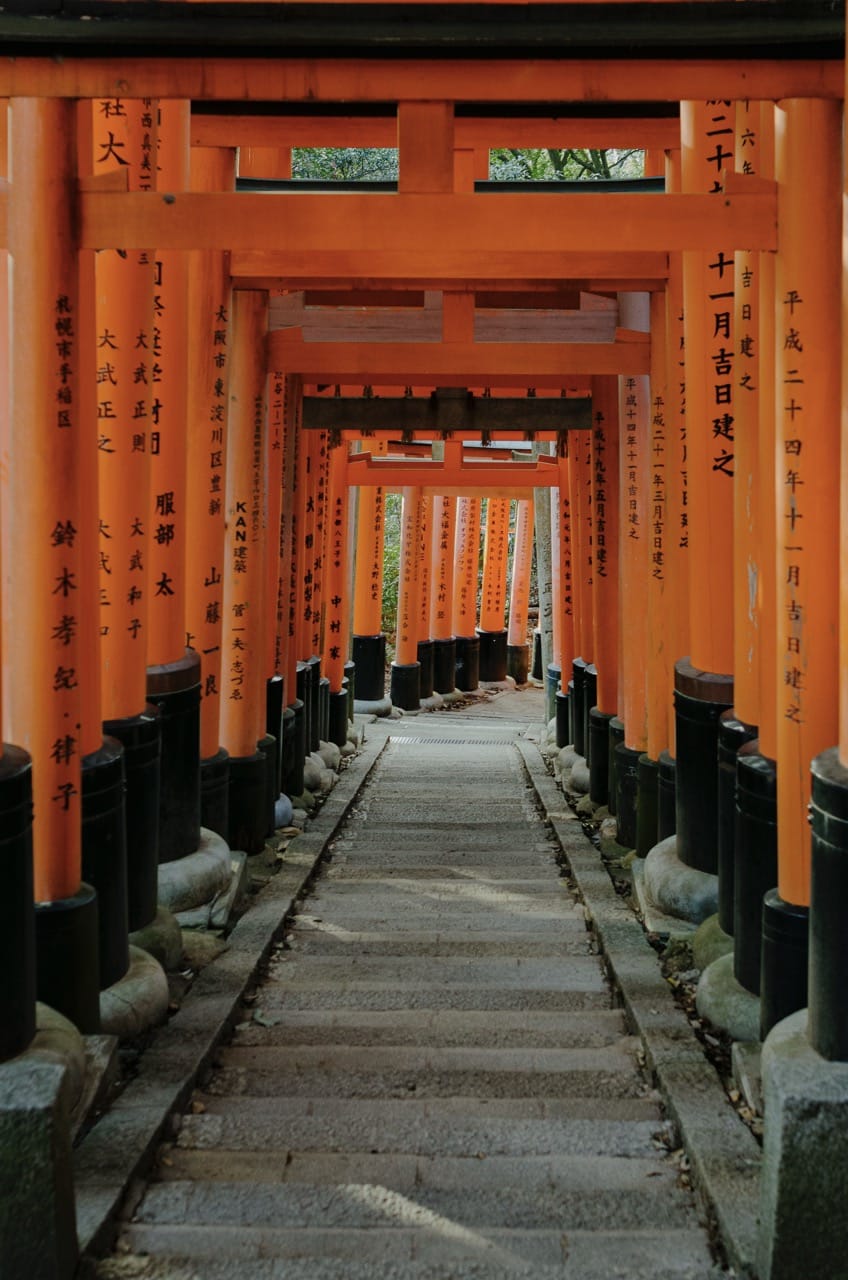 Фото 45 из альбома Kyoto 2024