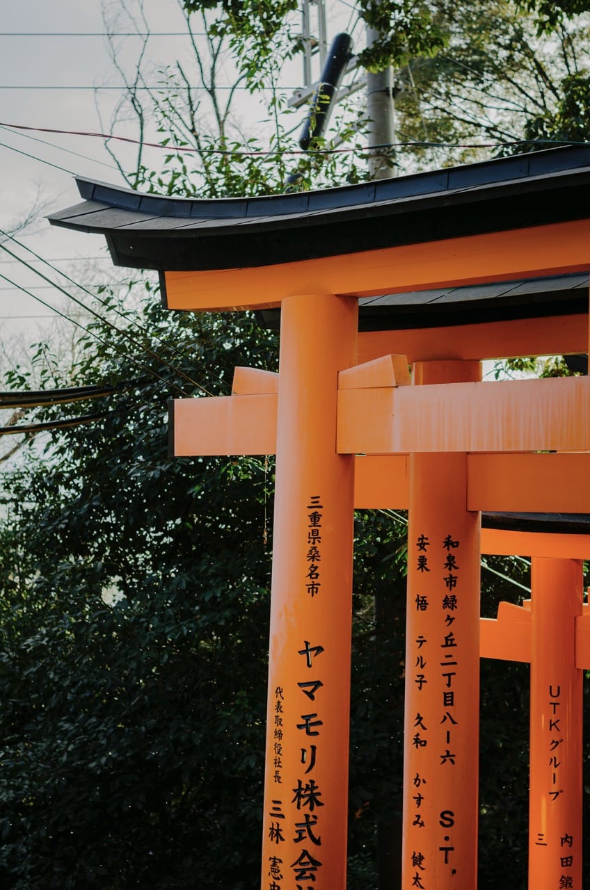 Фото 47 из альбома Kyoto 2024