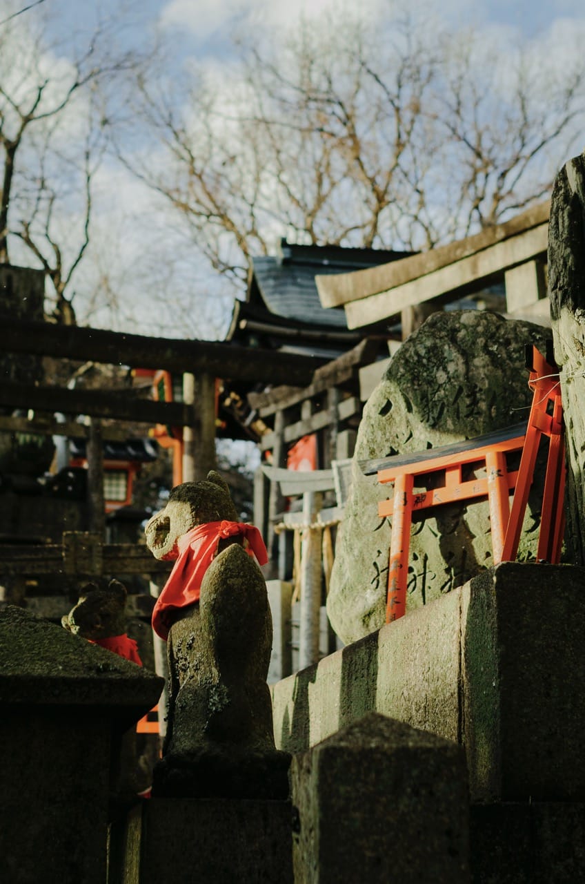 Фото 48 из альбома Kyoto 2024