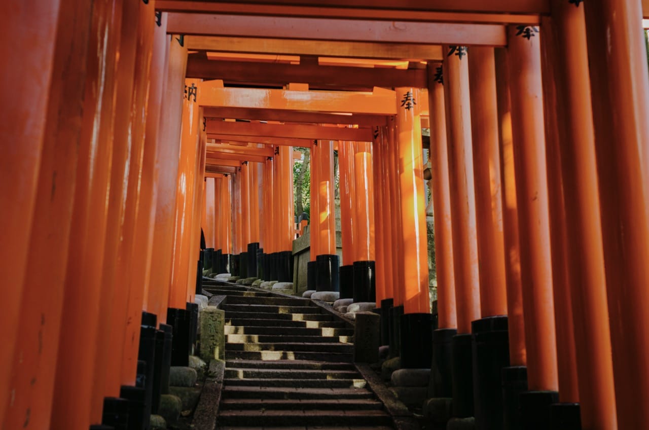 Фото 49 из альбома Kyoto 2024