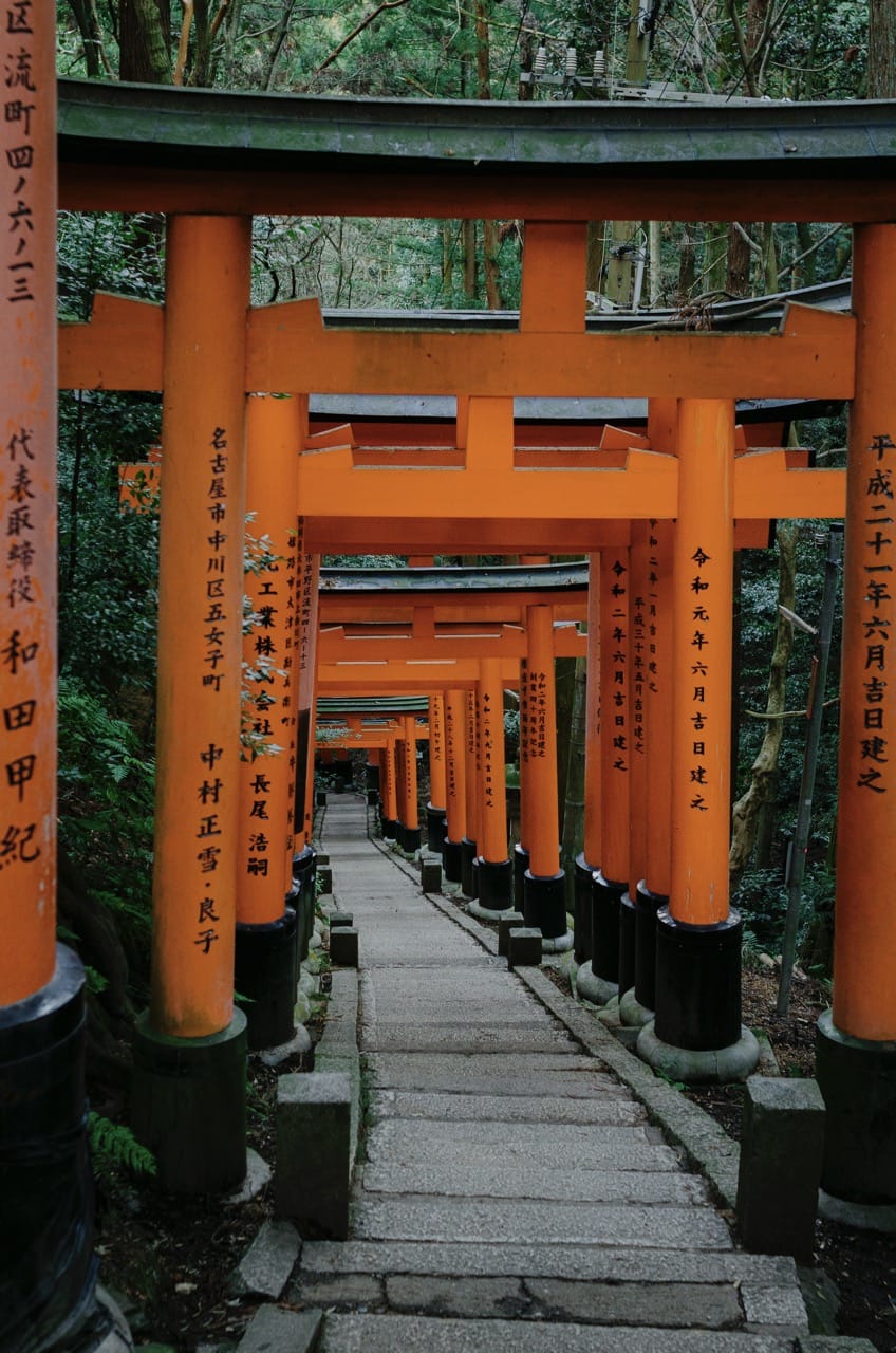 Фото 50 из альбома Kyoto 2024