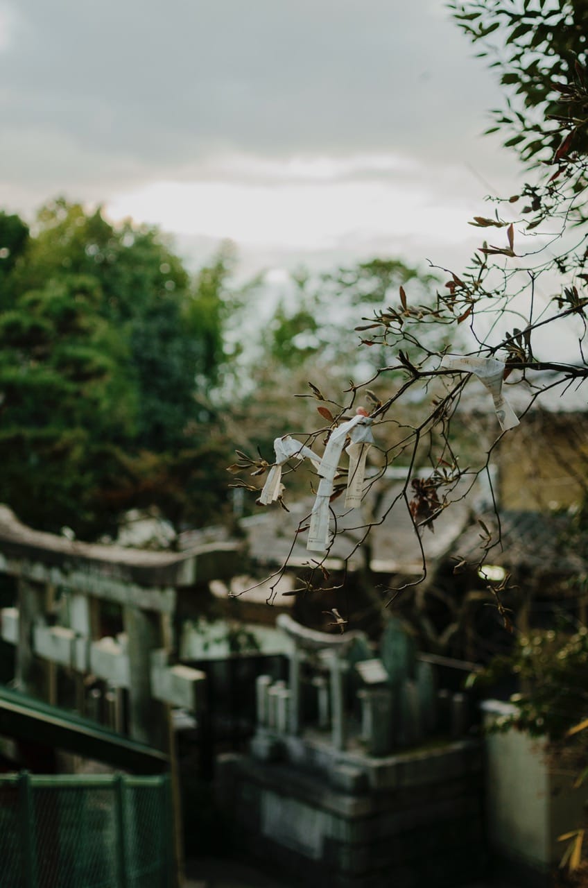 Фото 52 из альбома Kyoto 2024