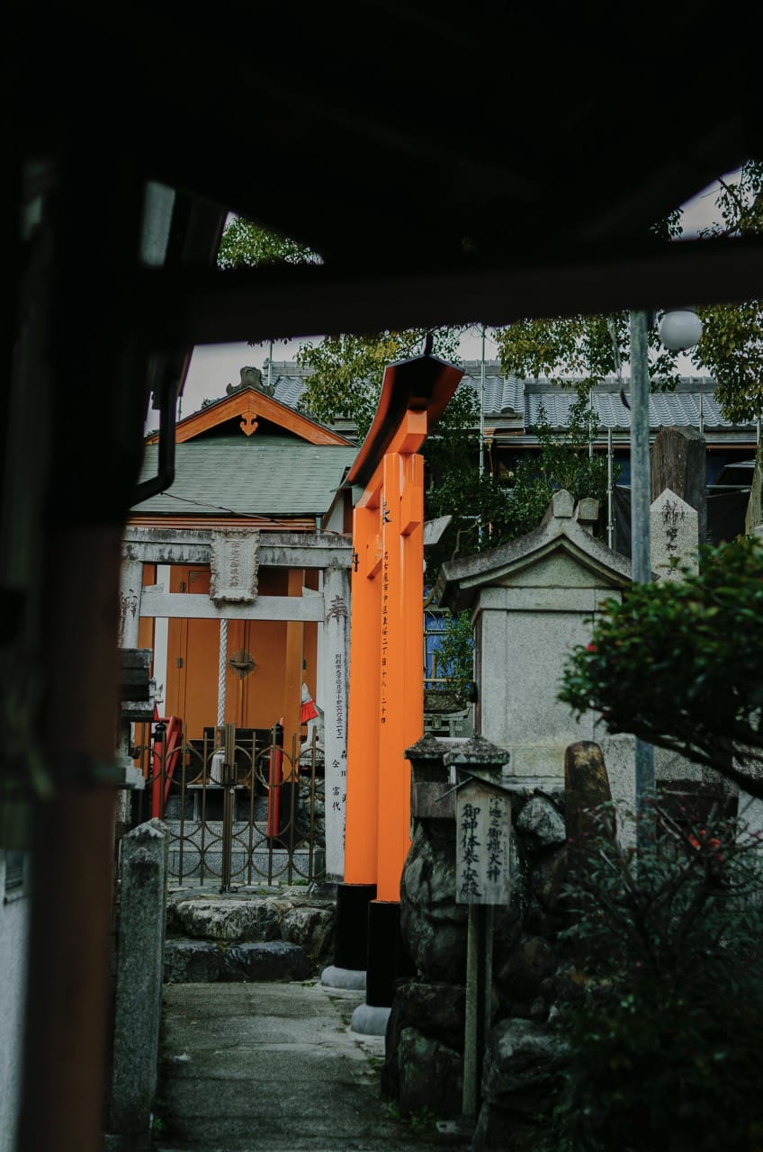 Фото 54 из альбома Kyoto 2024