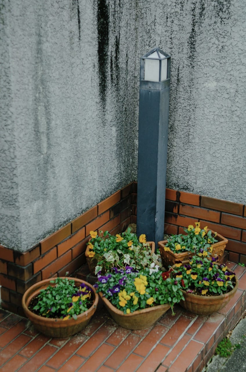 Фото 59 из альбома Kyoto 2024