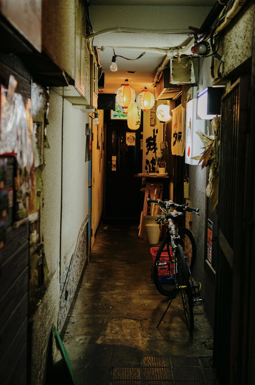 Фото 76 из альбома Kyoto 2024