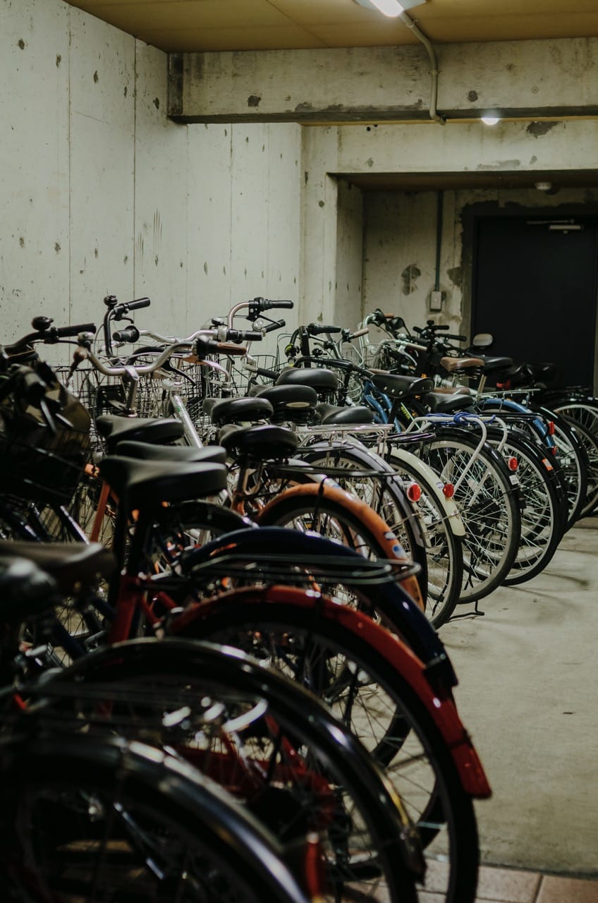 Фото 101 из альбома Kyoto 2024