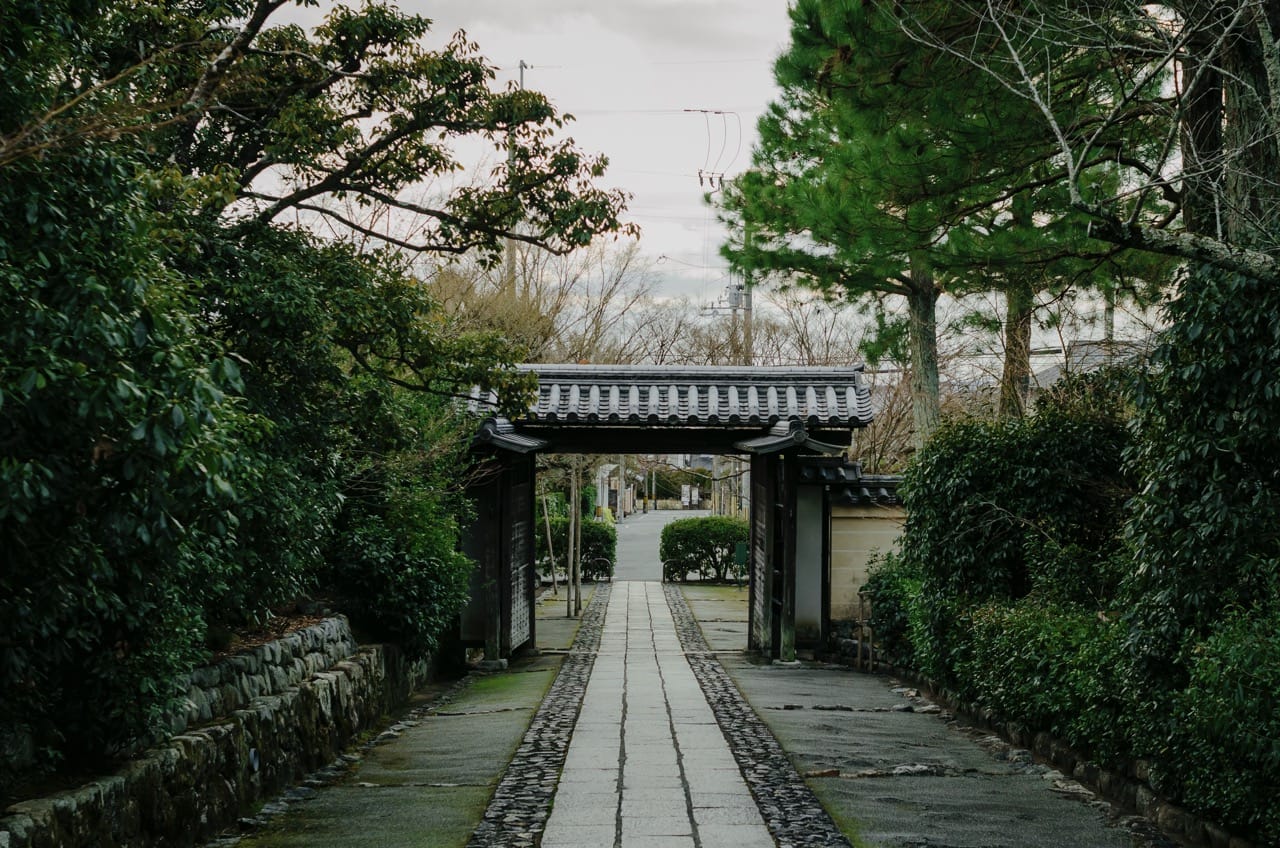 Фото 121 из альбома Kyoto 2024