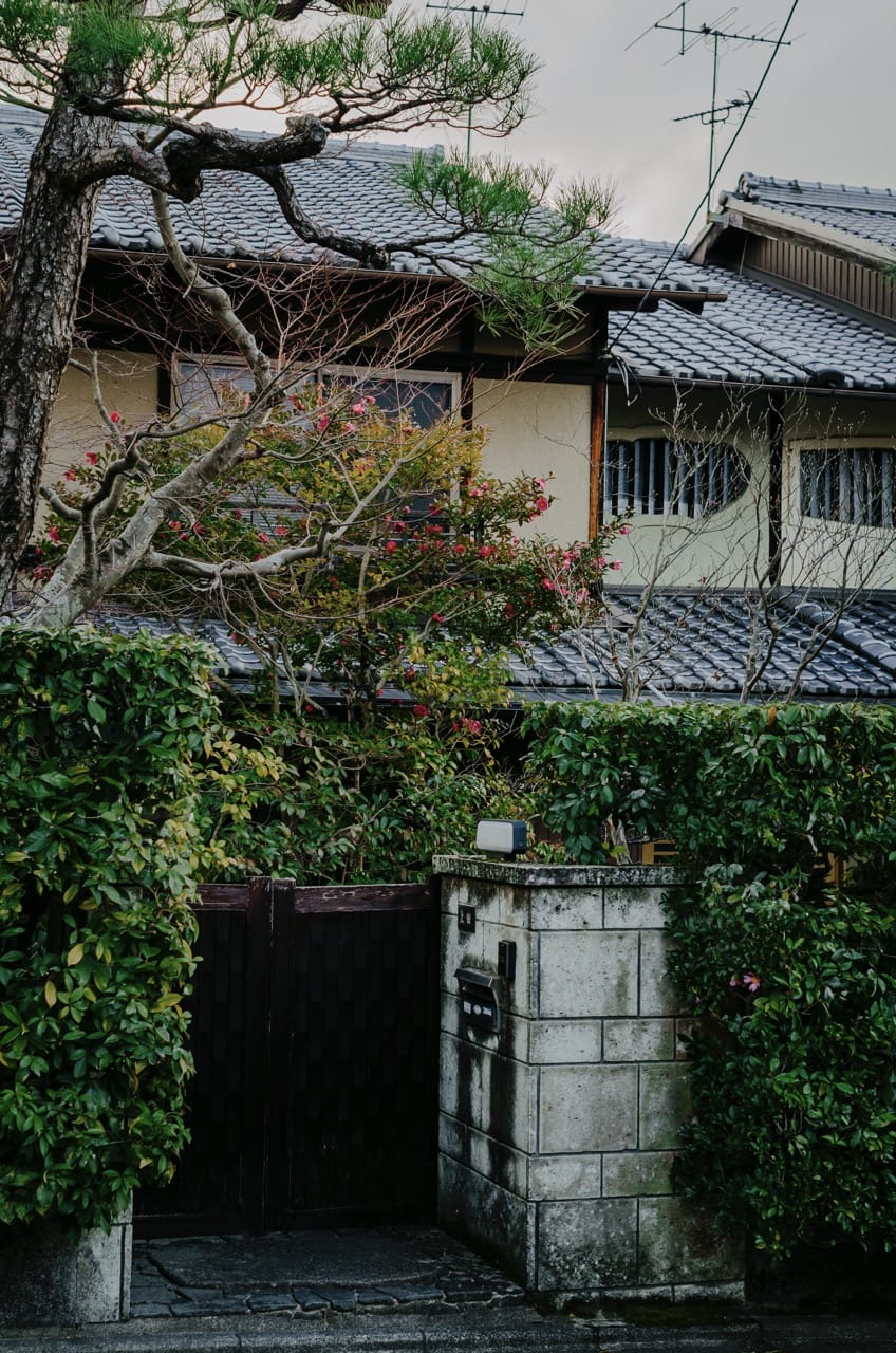 Фото 123 из альбома Kyoto 2024