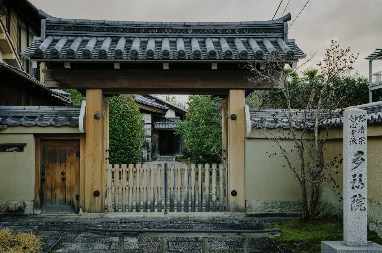 Фото 125 из альбома Kyoto 2024