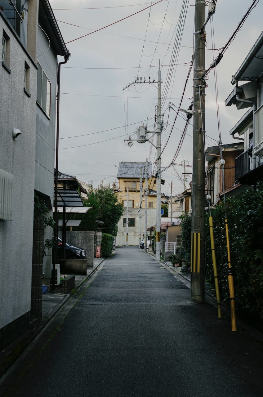 Фото 132 из альбома Kyoto 2024