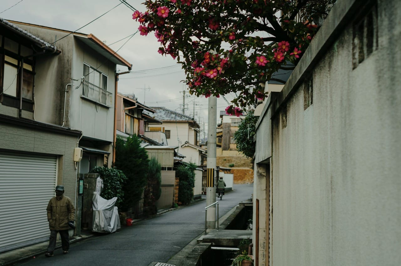 Фото 135 из альбома Kyoto 2024