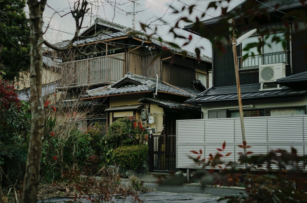 Фото 137 из альбома Kyoto 2024