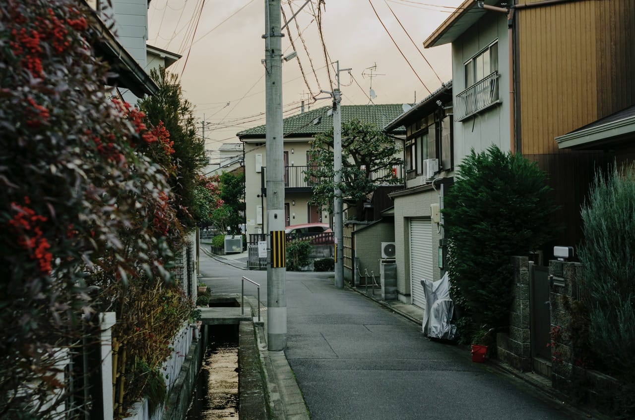 Фото 138 из альбома Kyoto 2024