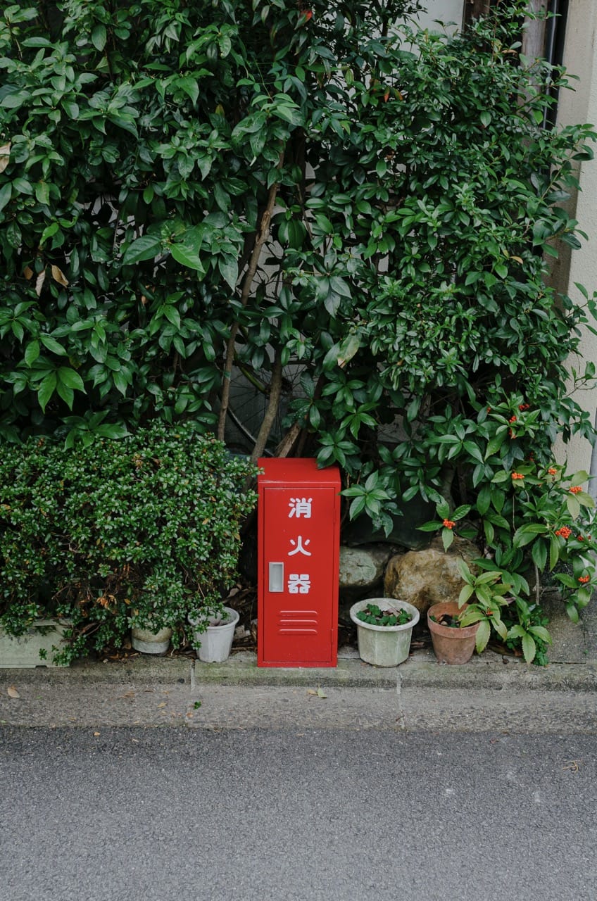 Фото 139 из альбома Kyoto 2024