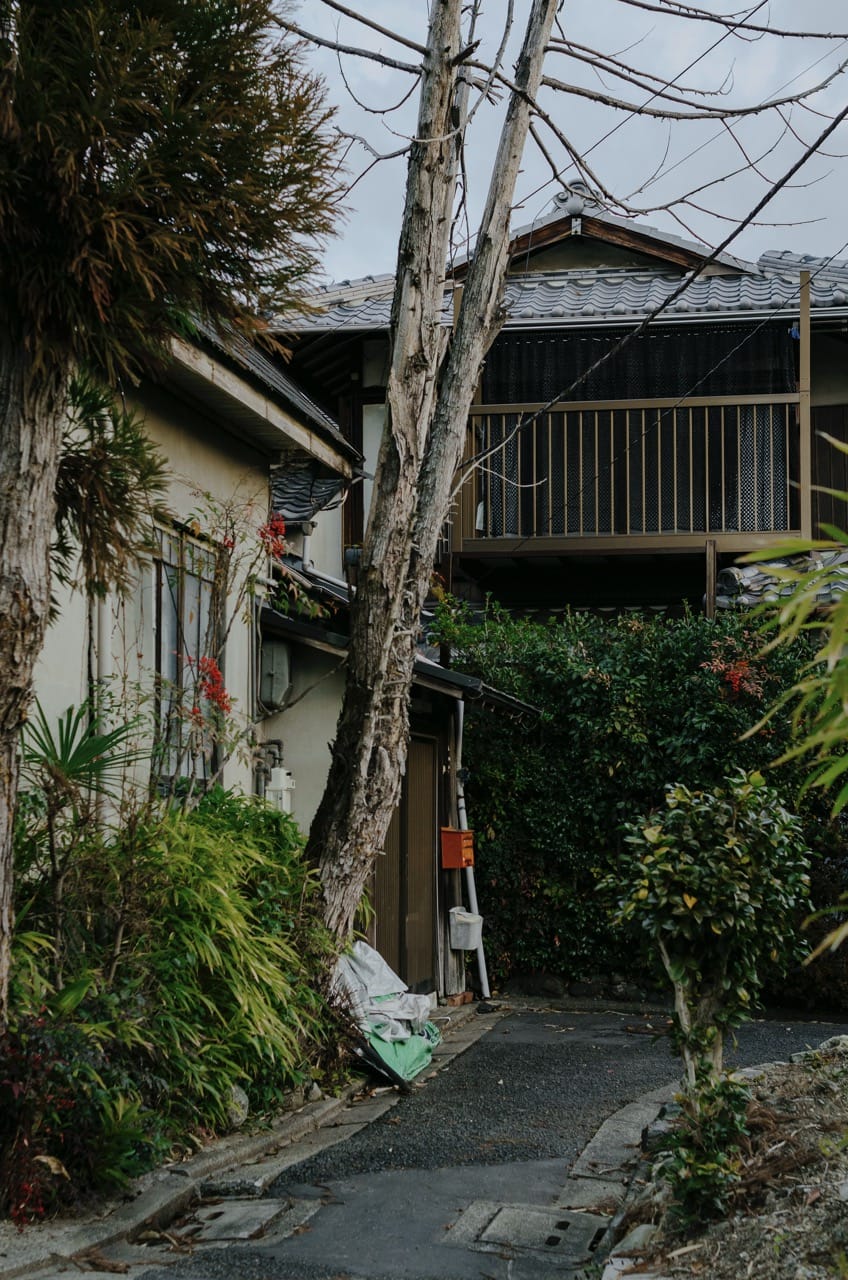Фото 140 из альбома Kyoto 2024