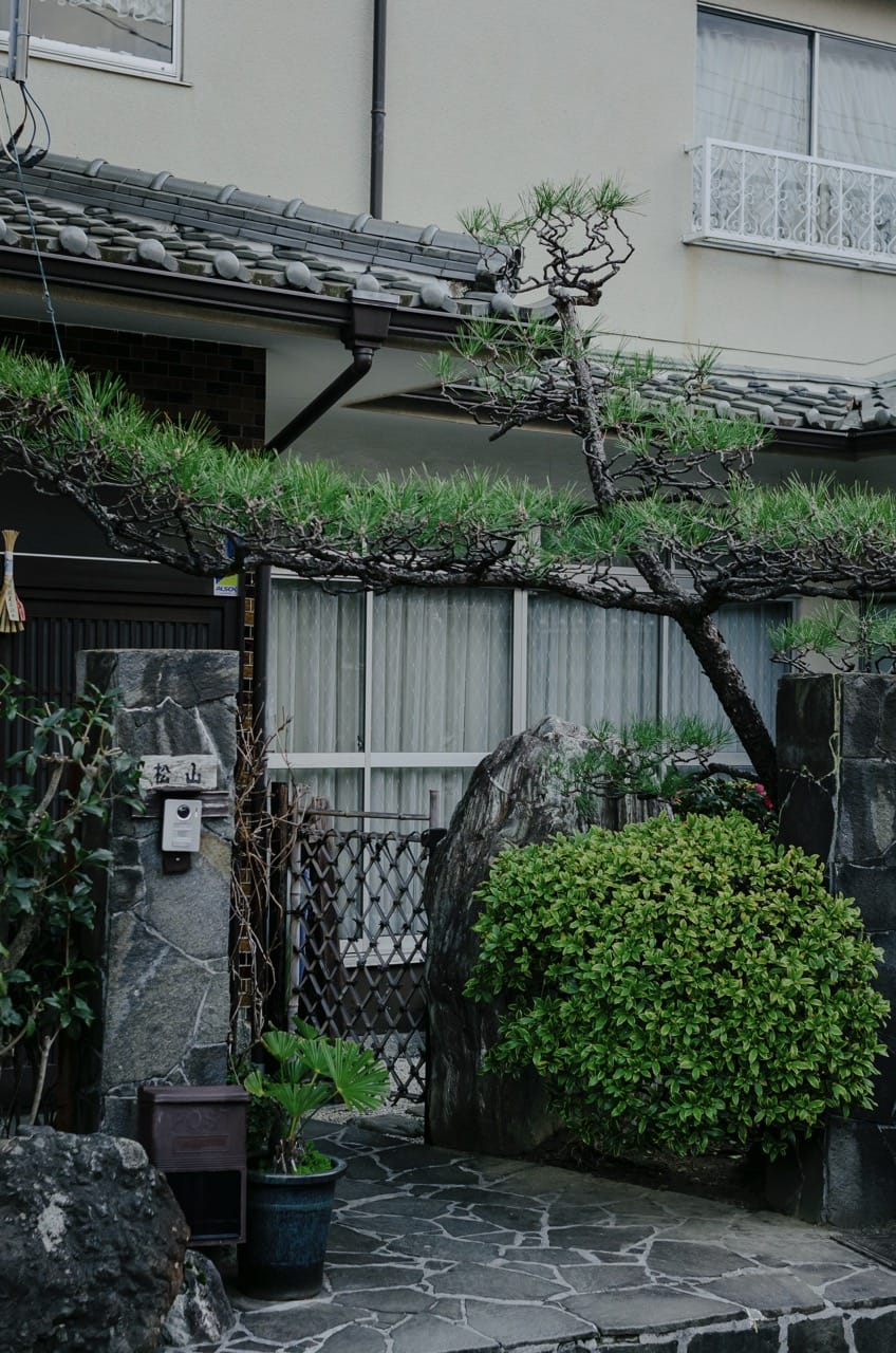 Фото 147 из альбома Kyoto 2024