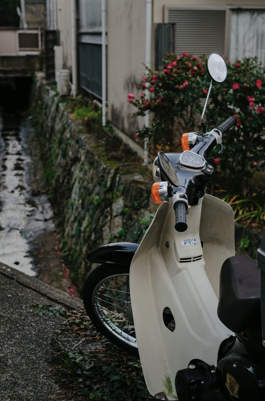 Фото 153 из альбома Kyoto 2024