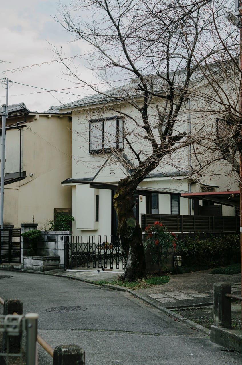 Фото 158 из альбома Kyoto 2024