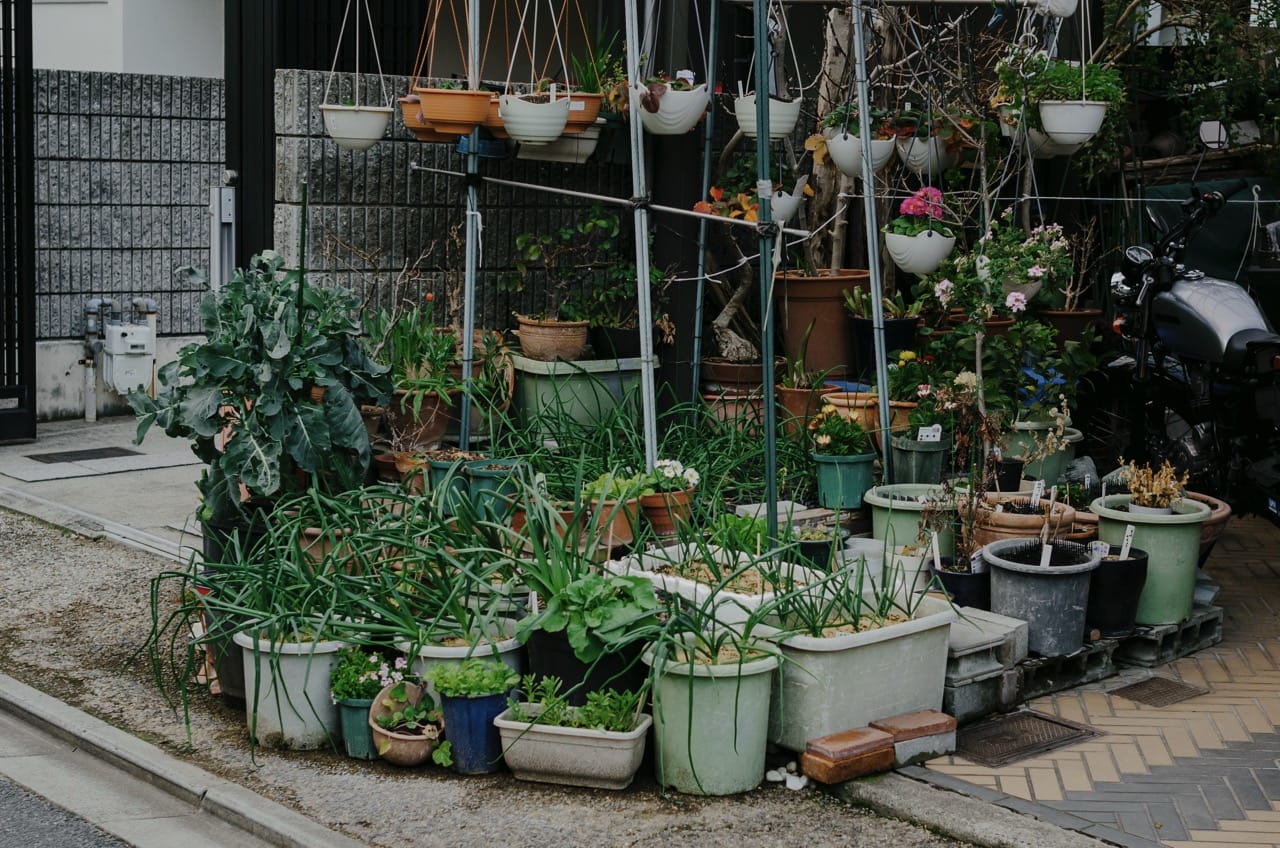 Фото 160 из альбома Kyoto 2024