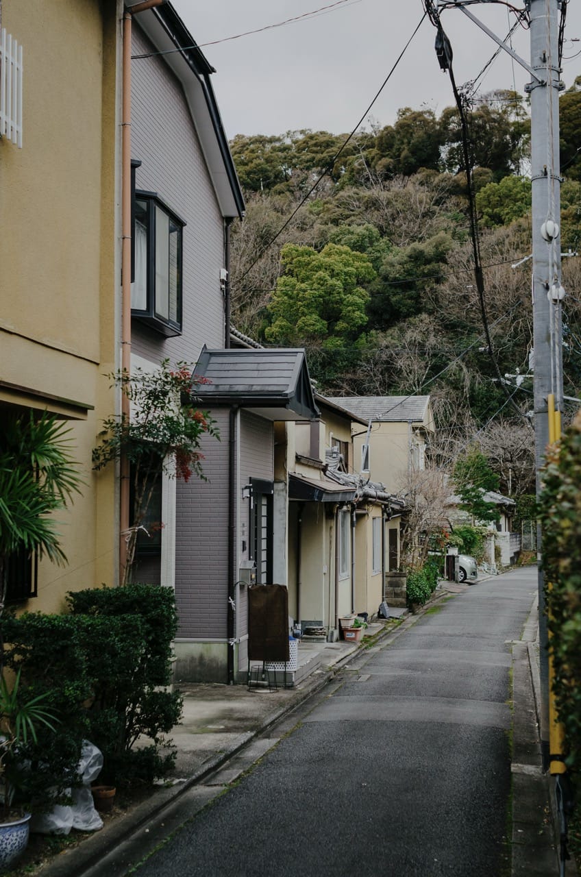 Фото 167 из альбома Kyoto 2024