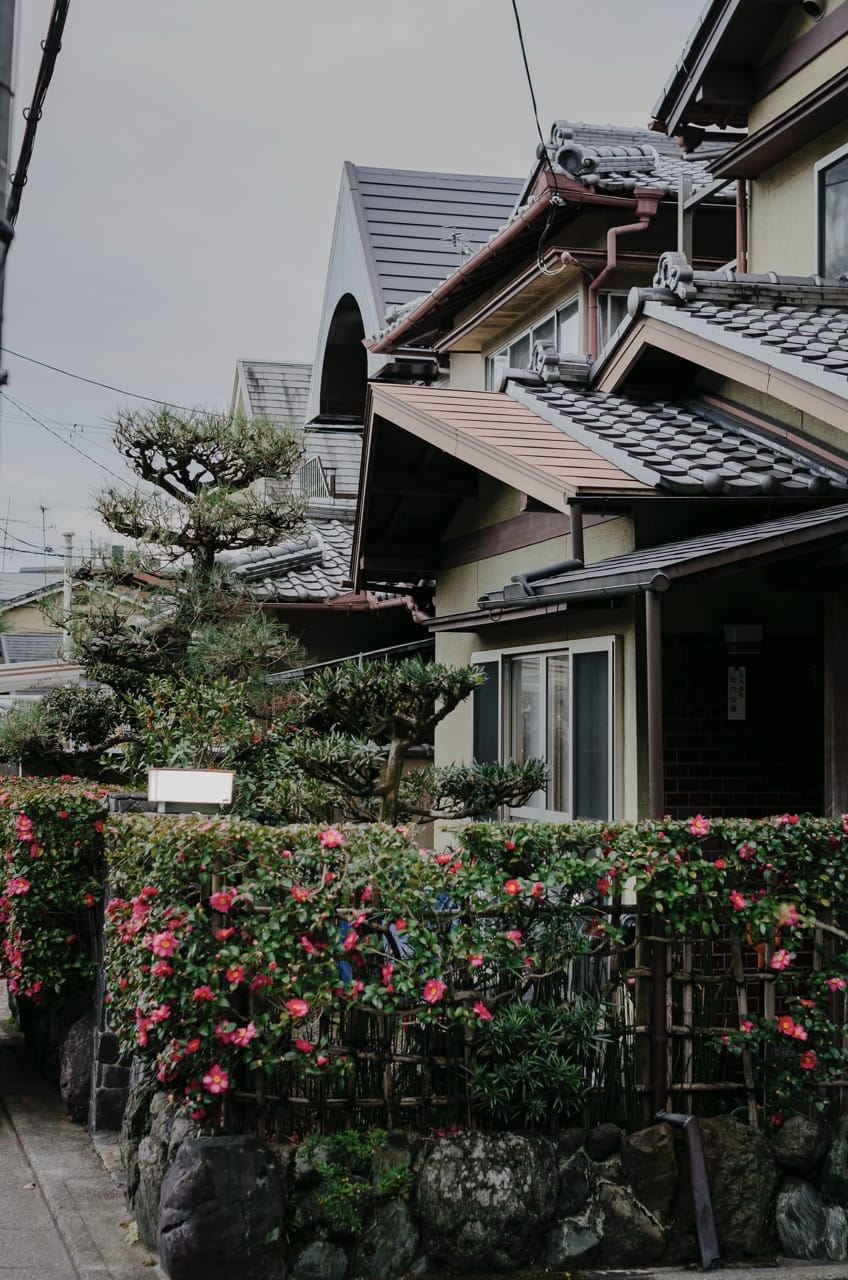 Фото 170 из альбома Kyoto 2024