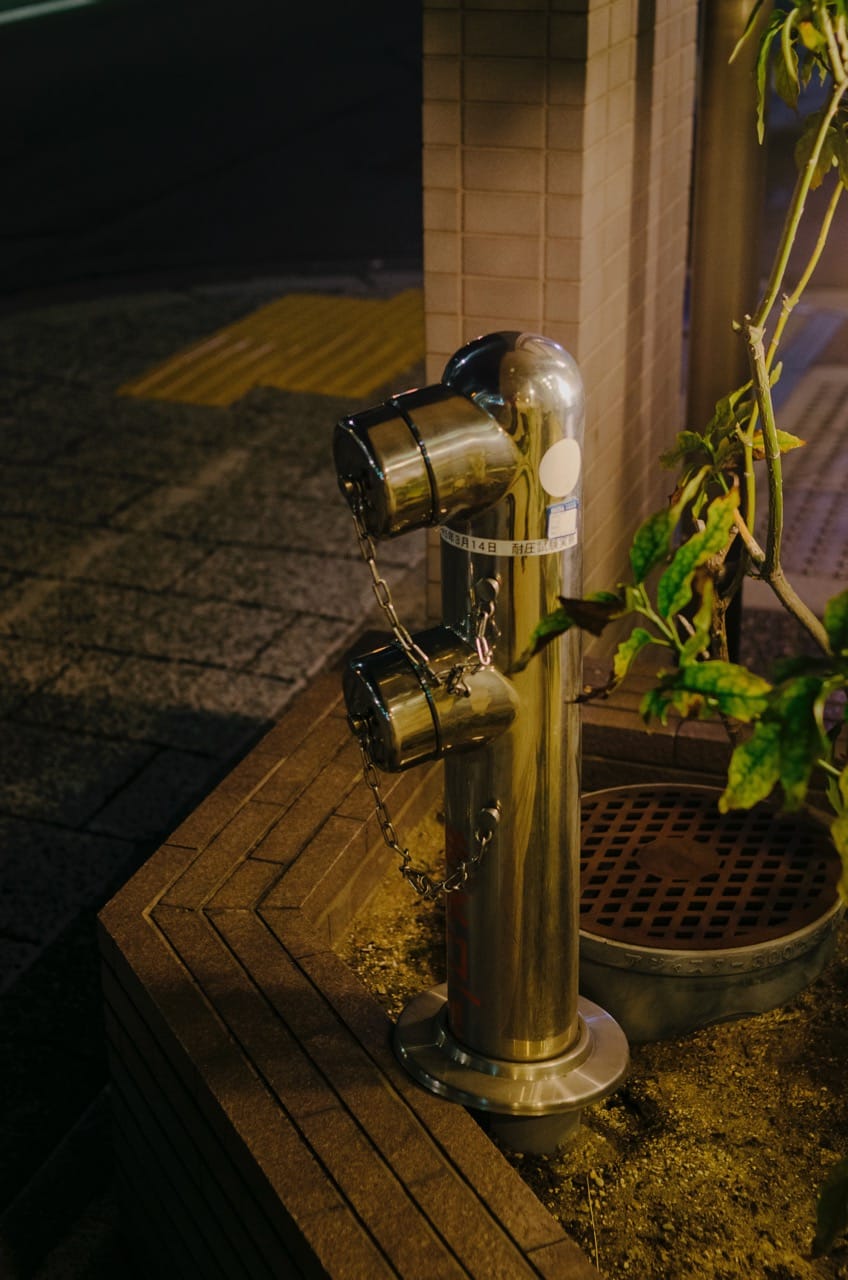 Фото 176 из альбома Kyoto 2024