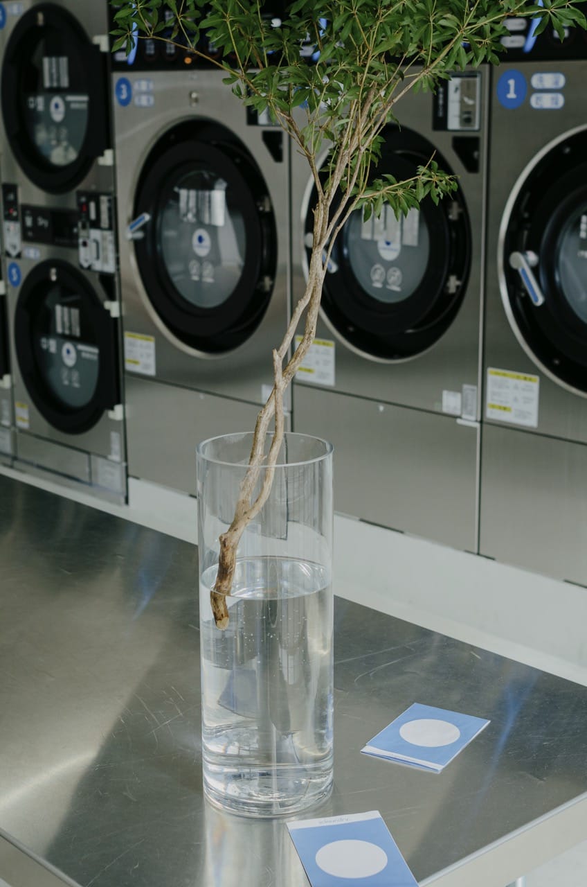 Фото 218 из альбома Kyoto 2024