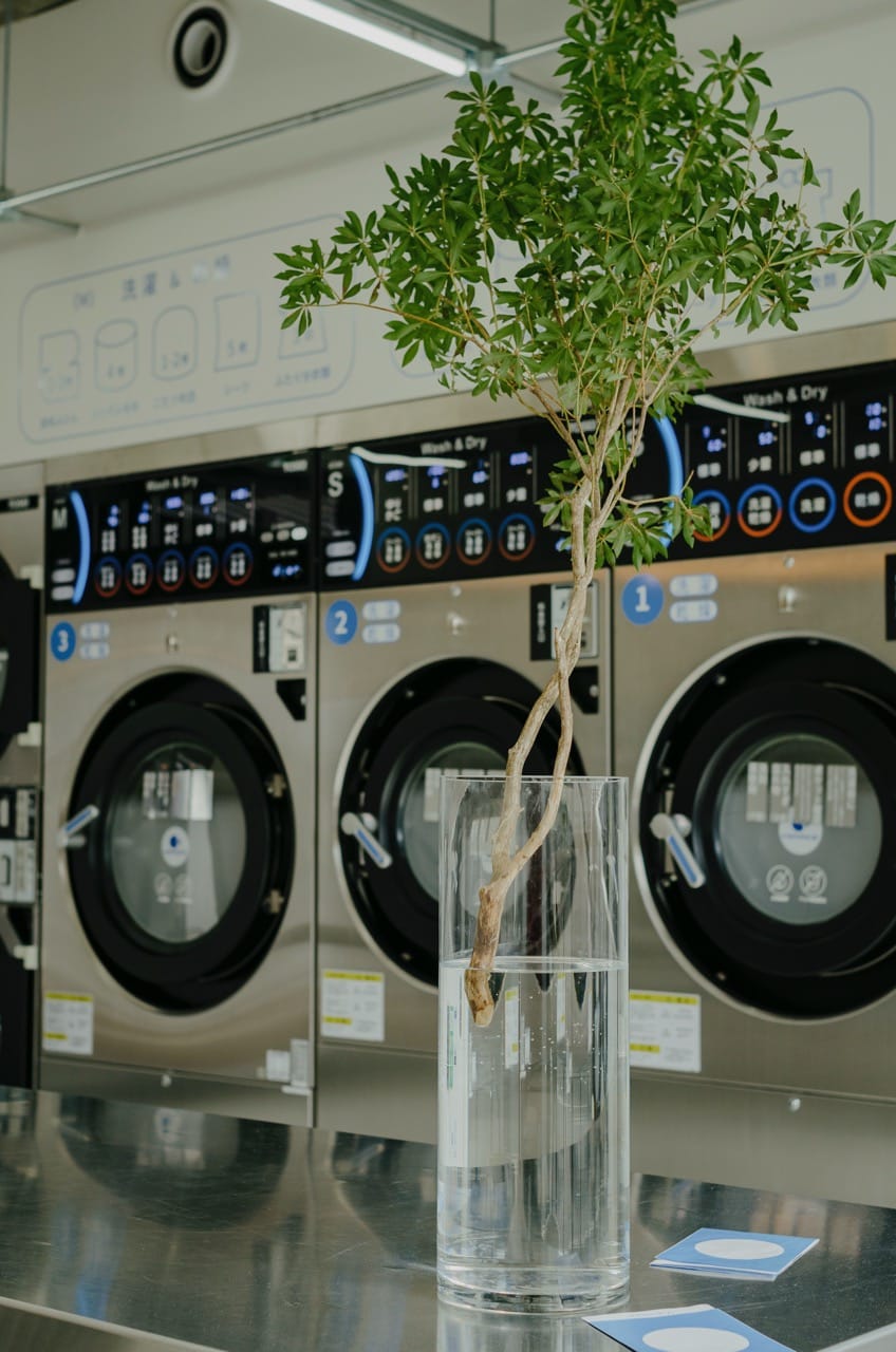 Фото 219 из альбома Kyoto 2024