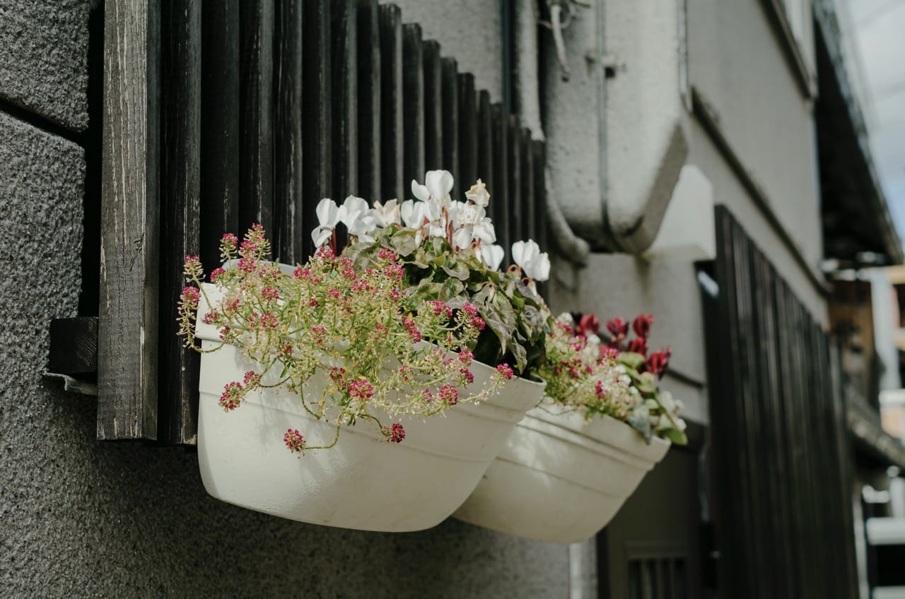 Фото 230 из альбома Kyoto 2024